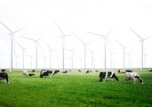 windplatteland
